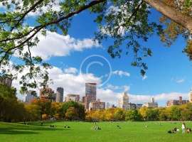 Five Ways that Cities are Acting on Climate